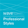 Saville Assessment Wave Professional Styles icon